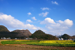 安龍網(wǎng)站建設(shè)