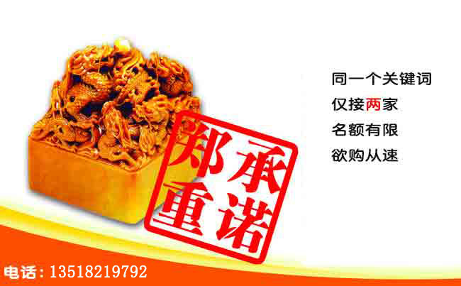 大豐拋丸機(jī)生產(chǎn)廠家該怎樣選擇網(wǎng)站優(yōu)化公司