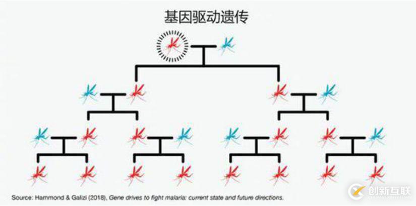 AI+基因編輯，為何成為比爾·蓋茨口中的救命良方？