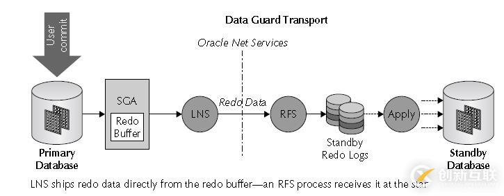 Oracle學(xué)習(xí)之DATAGUARD(一) DG架構(gòu)
