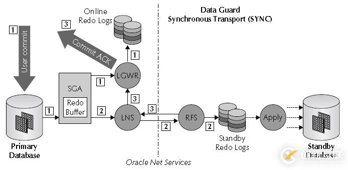 Oracle學(xué)習(xí)之DATAGUARD(一) DG架構(gòu)