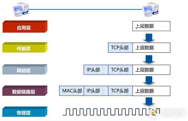 OSI參考模型（小白入門基礎(chǔ)）