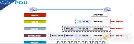 OSI參考模型（小白入門基礎(chǔ)）