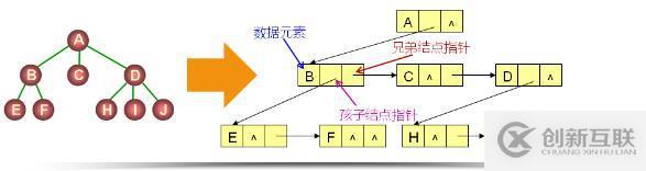 樹到二叉樹的轉(zhuǎn)換（三十五）