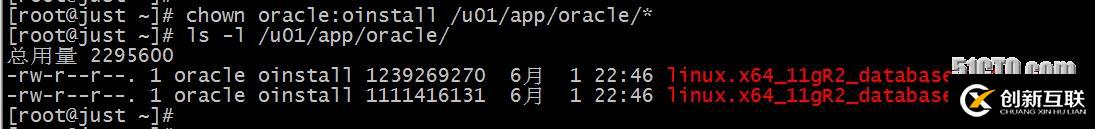 red hat 6.2 64位安裝oracle11g