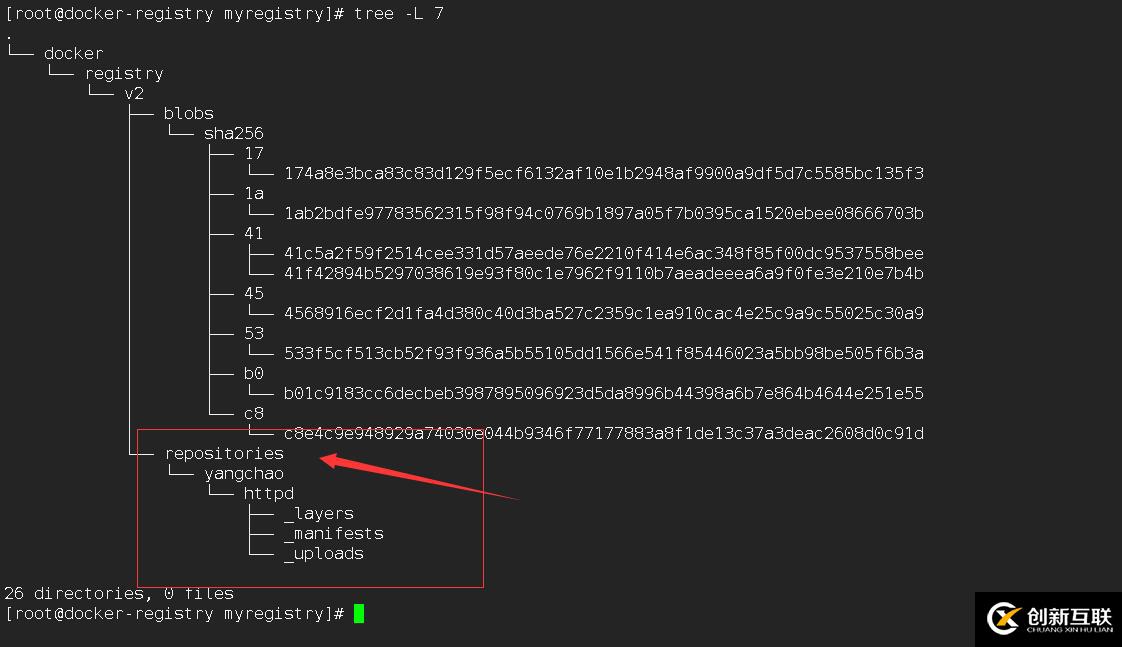 docker學(xué)習(xí)-構(gòu)建本地Registry