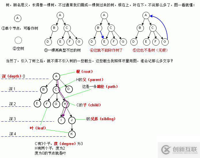 二叉樹?？济嬖囶}