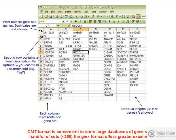 GSEA軟件的使用方法是什么