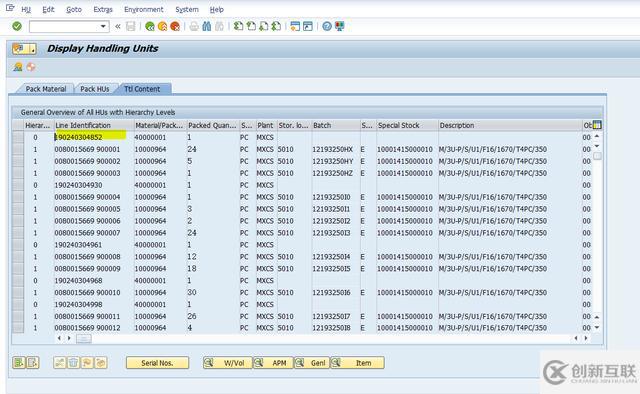 SAP沒有激活HUM功能可以使用Handling Unit嗎