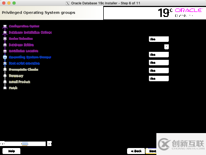 linux7安裝oracle 19c rac