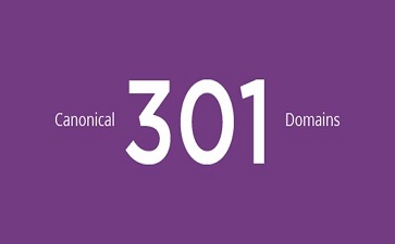 canonical、301、Domains