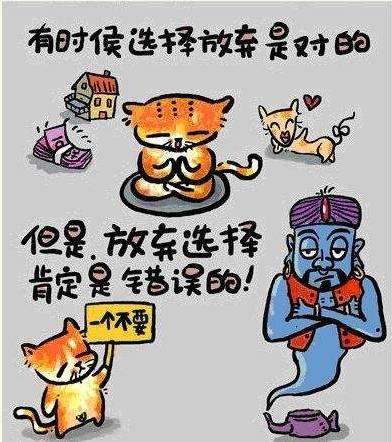 我們不能裝作很努力，得付出行動！ 個人怎樣建網(wǎng)站