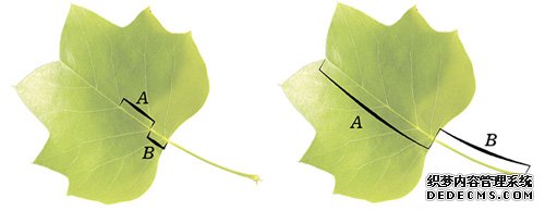 干貨分享: 幾何設(shè)計(jì)學(xué)原理の黃金分割在網(wǎng)頁設(shè)計(jì)中的應(yīng) <a href=