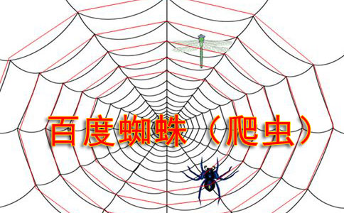 網站優(yōu)化要了解百度蜘蛛是喜新厭舊的習性