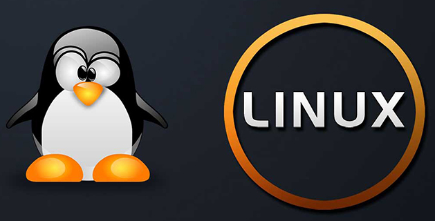 linux怎么ping，LinuxPing的步驟講解