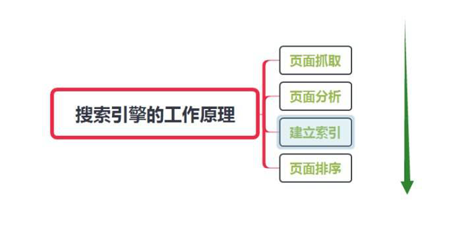 網站怎么讓蜘蛛快速抓??？